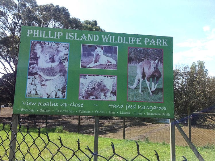 Phillip Island Wildlife Park Phillip Island Holidays